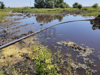 Жители Адыгеи требуют решения проблемы с болотными участками